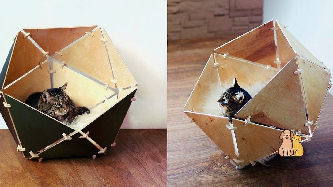The Corner Triangle Bed