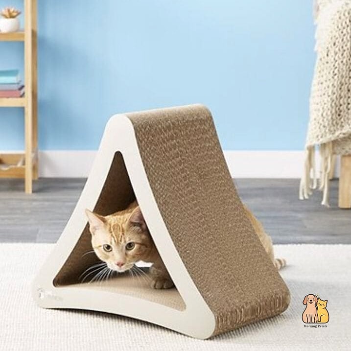 45 Budget-friendly Cat Eating Station Ideas Worth Pinning Immediately 15 The Corner Triangle Shelf