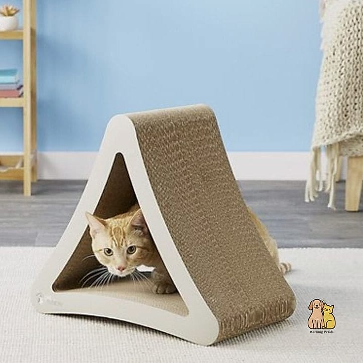 50 Budget-friendly Cat Food Station Ideas Your Pet Will Beg For More 17 The Corner Triangle Shelf