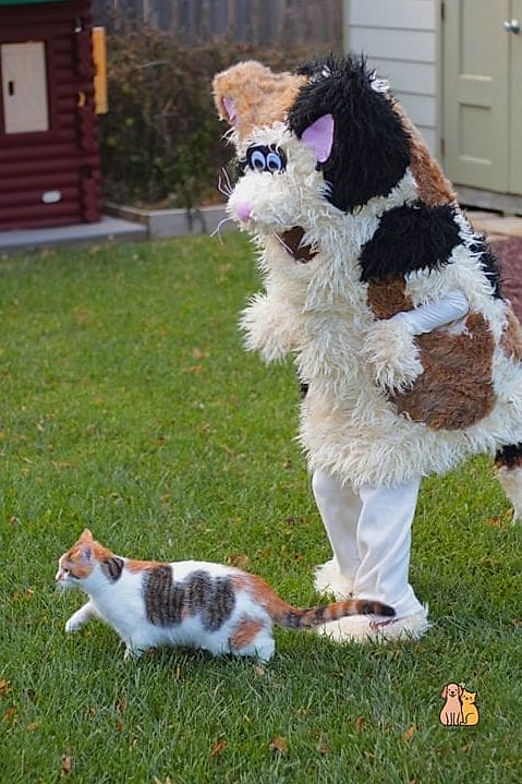 The Costume-Tolerant One