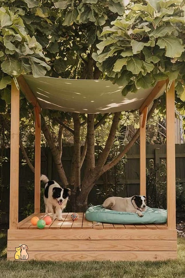 A Covered Outdoor Feeding Station