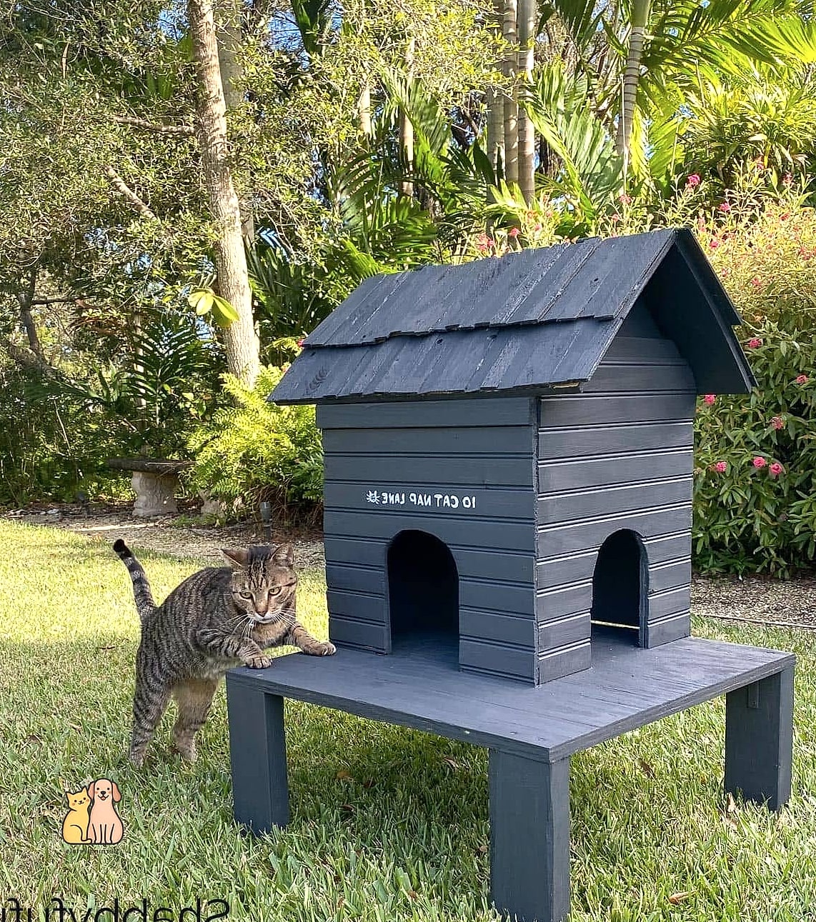 The Covered Porch Shelter