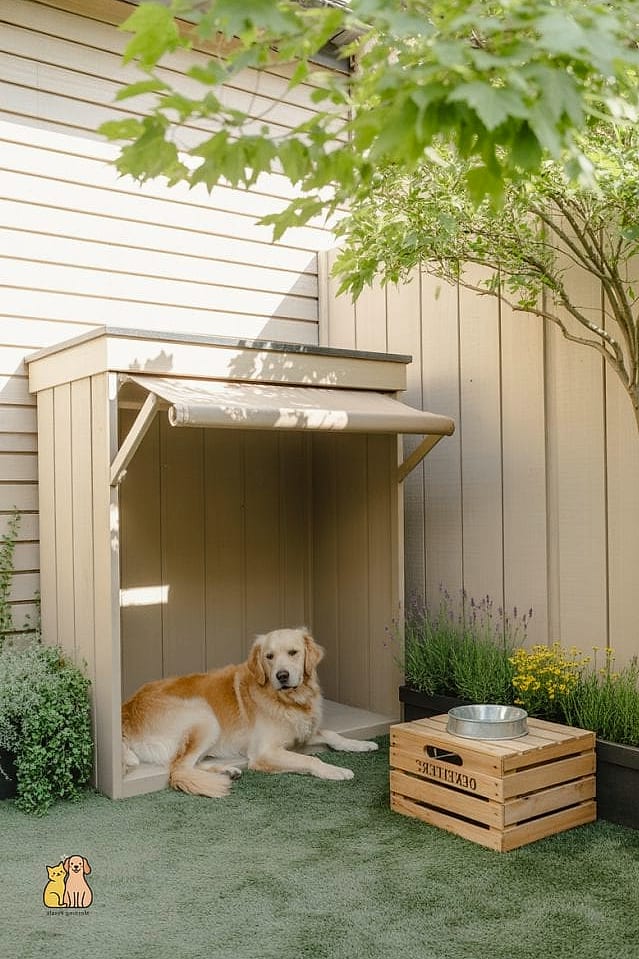 30 Perfect Outdoor Dog Potty Area on a Budget 29 Covered Potty Nook Against the House