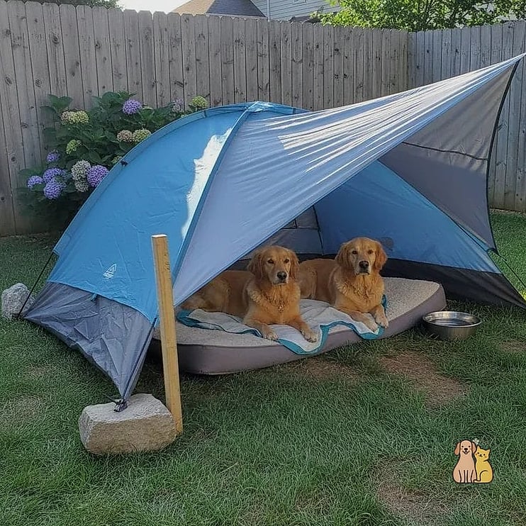 The Covered Shade Dog Run