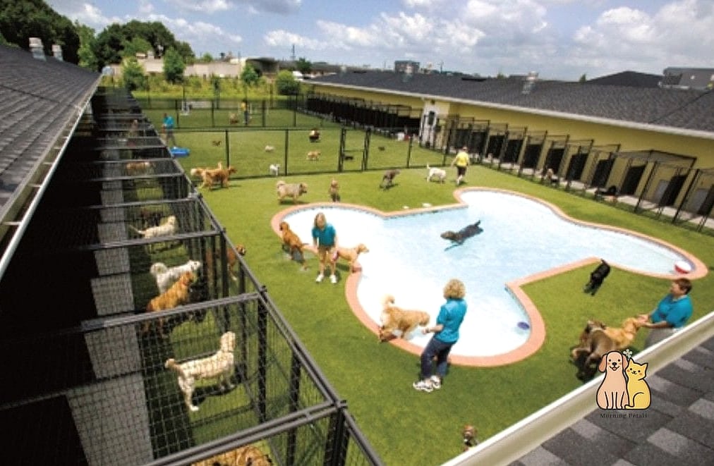 24 Easy Dog Boarding Facility Ideas That Will Inspire You 18 Covered Walking Paths