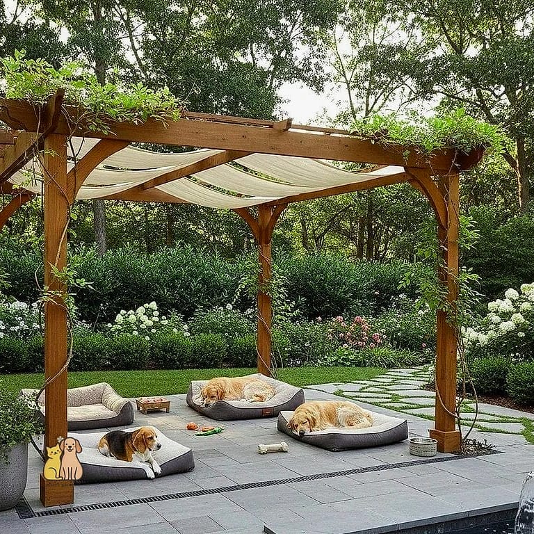 The Cozy Covered Dog Patio