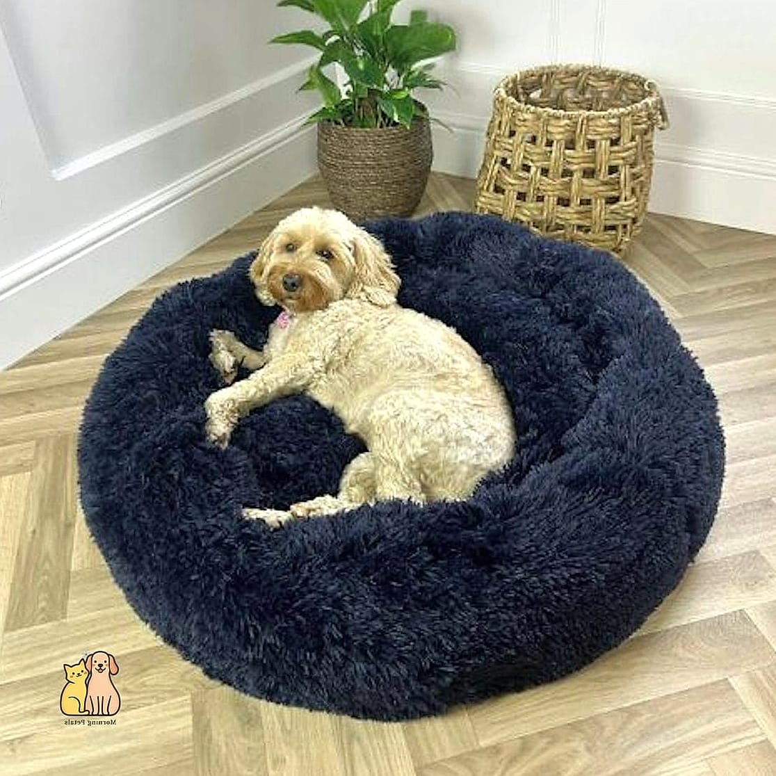 20 Stunning Best Dog Beds You Need in Your Life Right Now 4 Cozy Donut-Shaped Dog Bed for Curling Pups