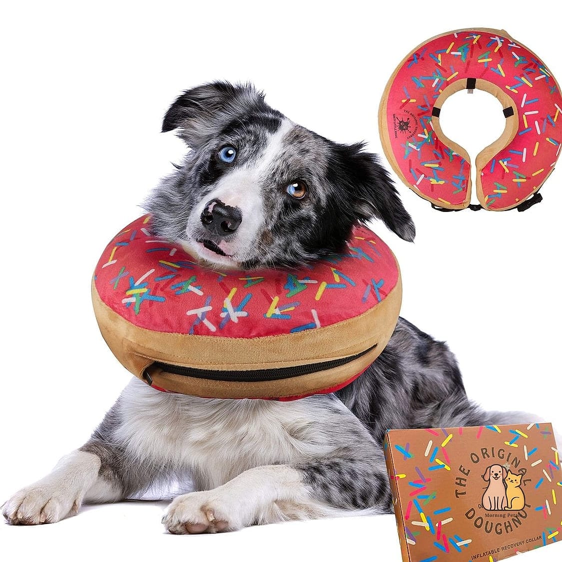 The Cozy Donut-Shaped Dog Bed