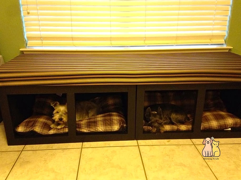 A Cozy Window Seat for Dogs Who Like to Watch