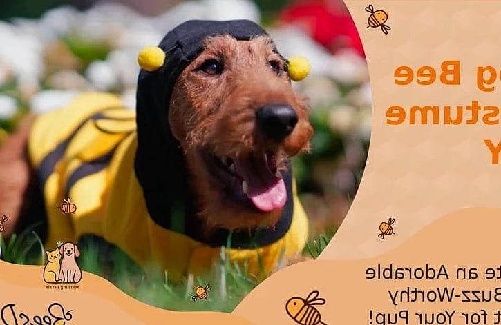 21 Adorable Dog Stung By Bee Guaranteed to Make You Smile 12 Creating a Bee-Safe Outdoor Space