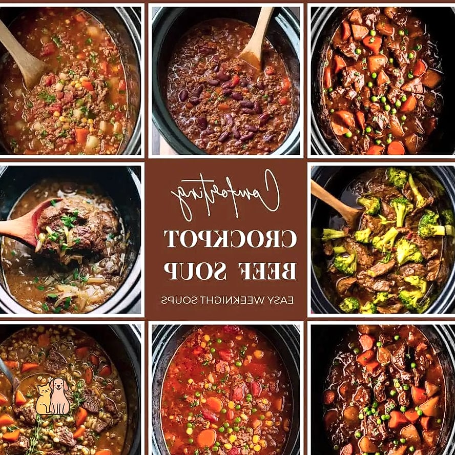 19 Budget-friendly Homemade Dog Meals That Are Totally Worth It 19 Crockpot Beef and Sweet Potato Mix