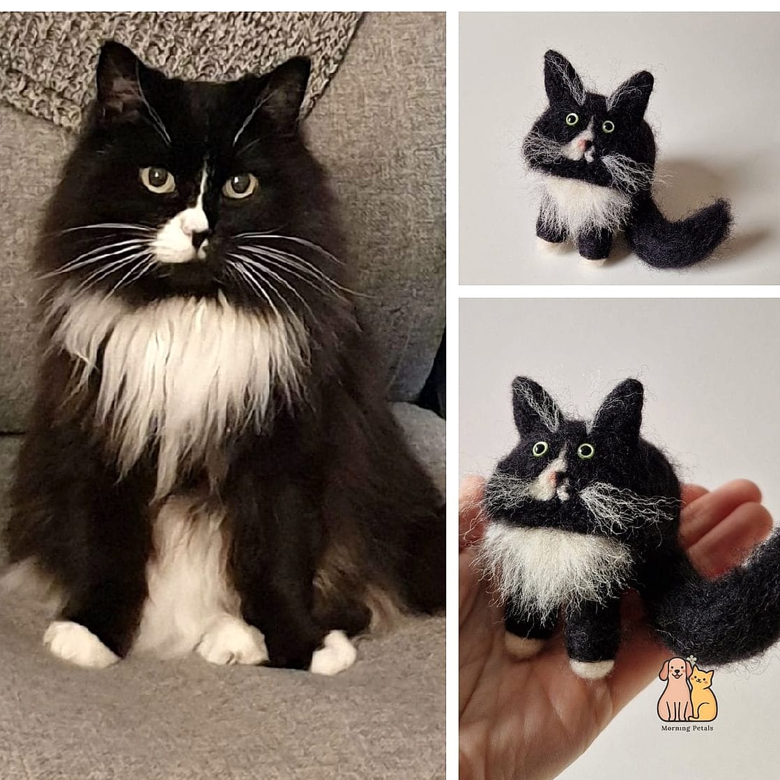 30 Incredible Fancy Tuxedo Cats That Will Make Your Day 23 The Cuddly Ragdoll-Mix Tuxedo