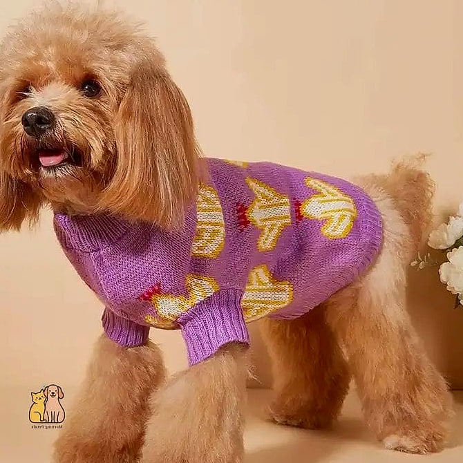 The Custom Hand-Knit Name Sweater
