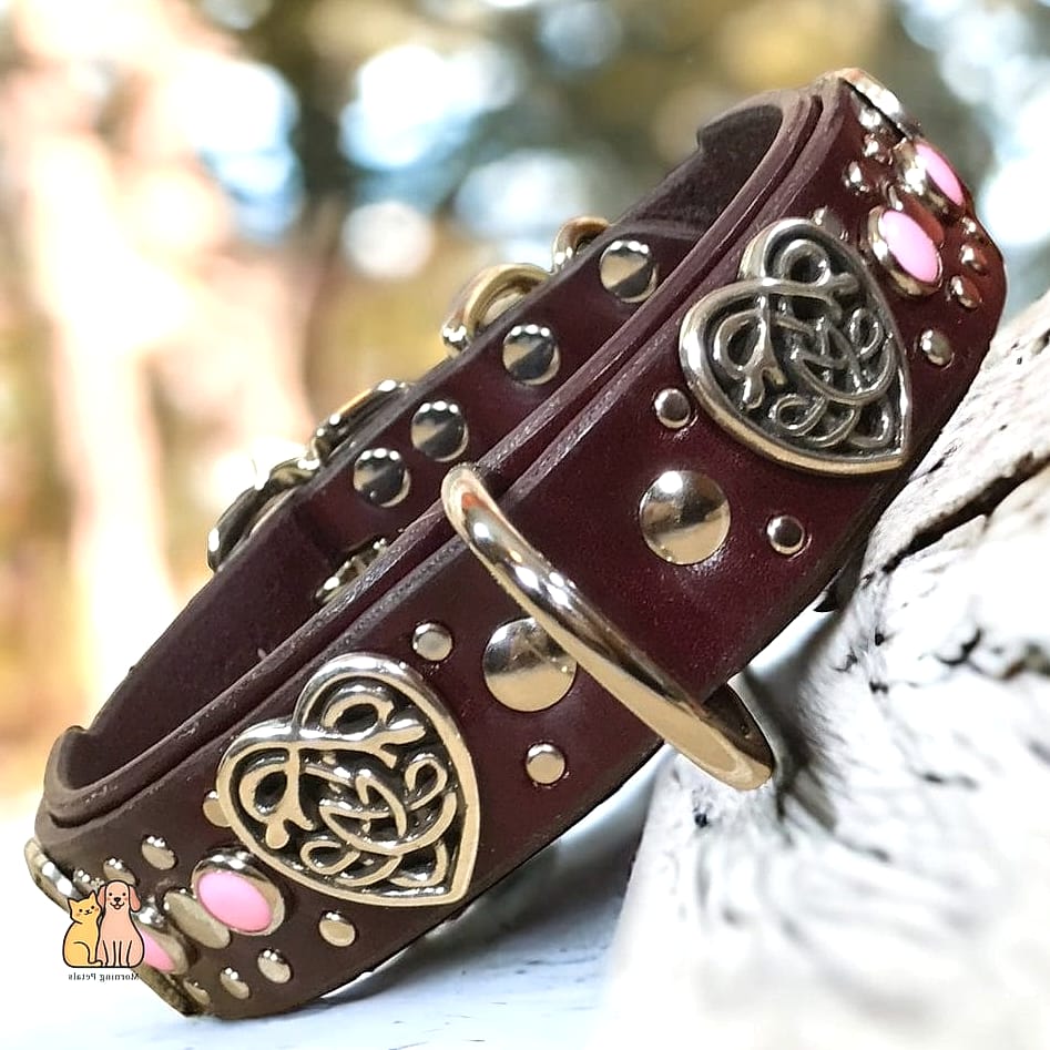 20 Heartwarming Dog Accessories You Need in Your Life Right Now 12 A Custom Leather Collar With Nameplate