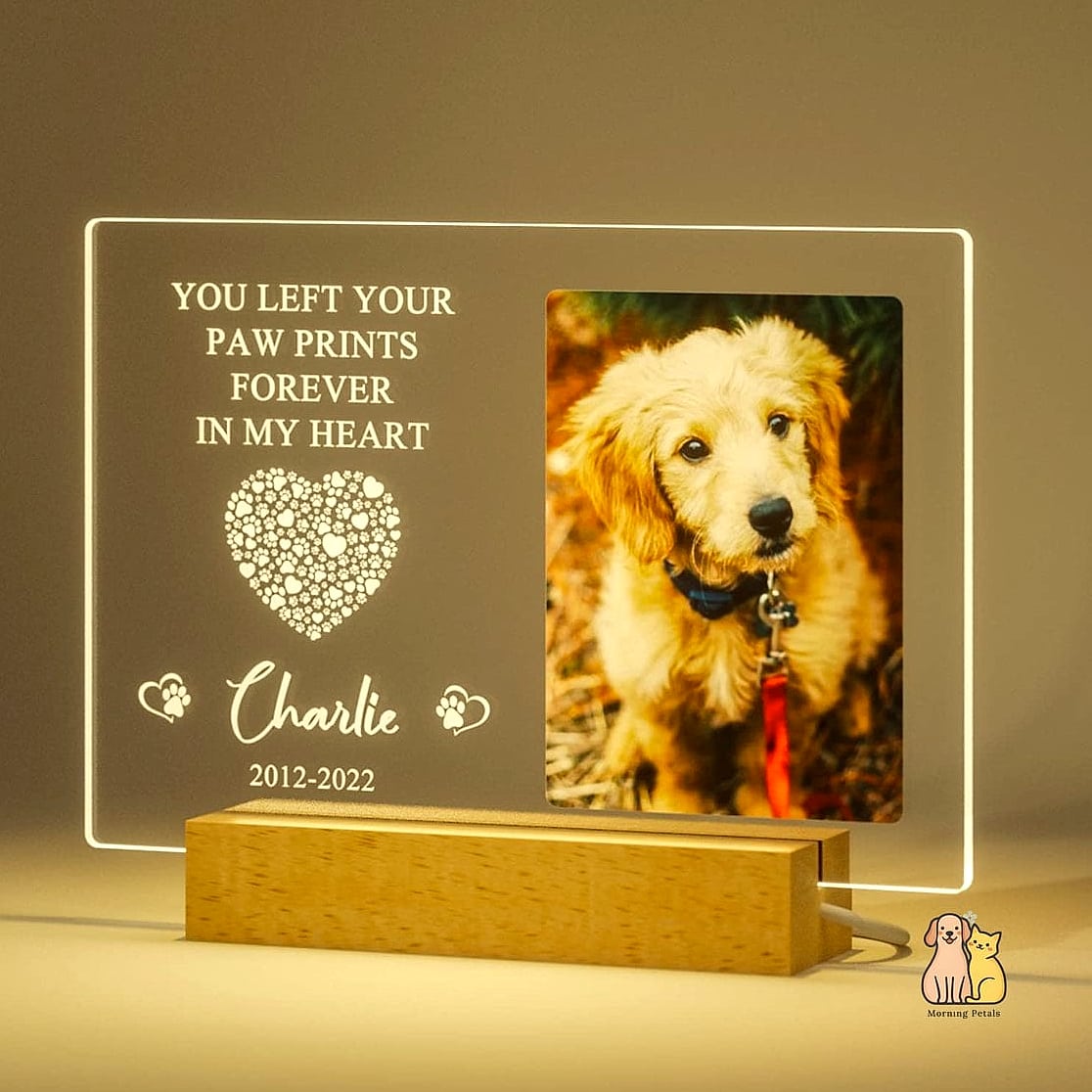 23 Perfect Dog Memorial Ideas Your Pet Will Love 13 A Custom Star Named After Them