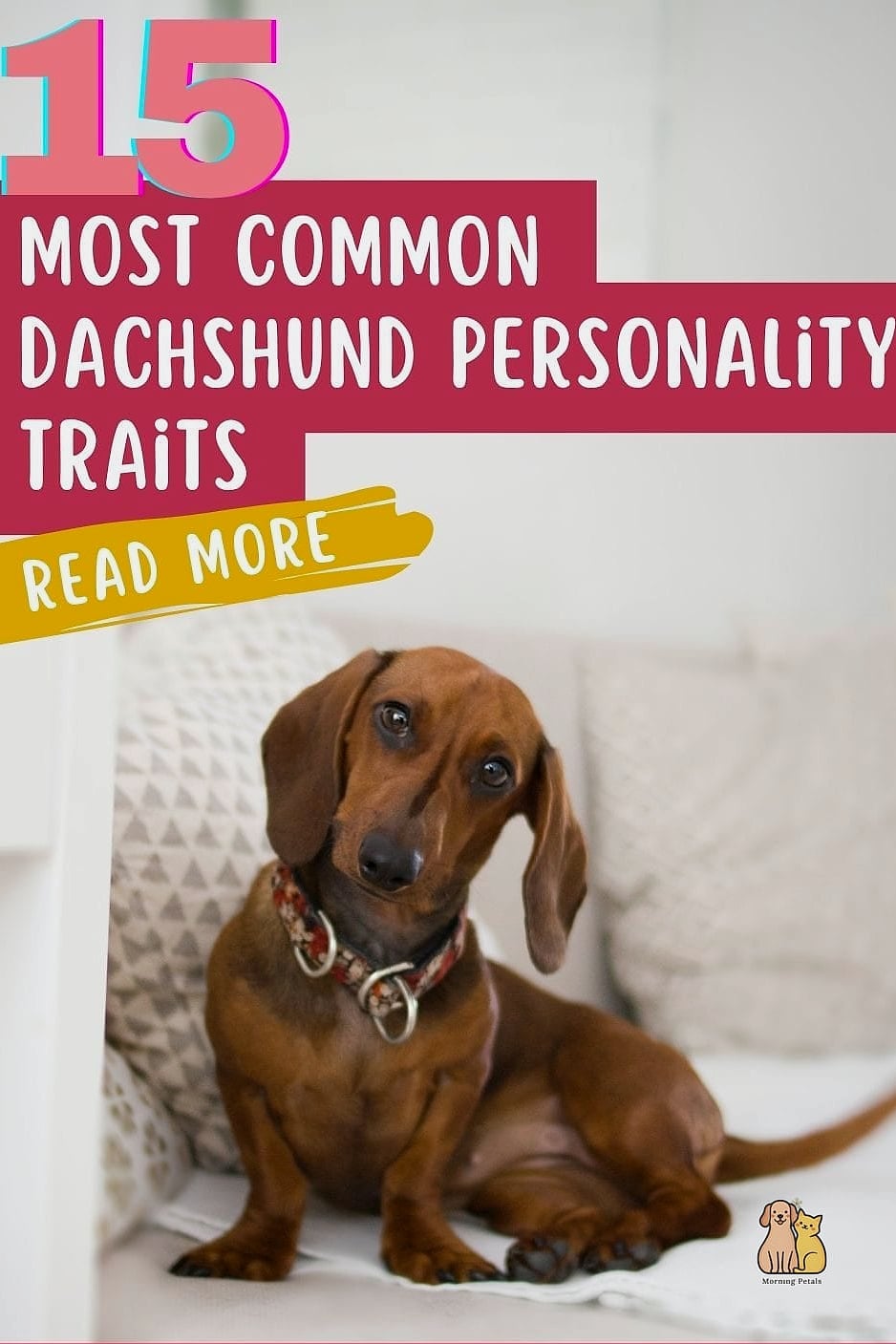 Dachshund Temperament and Personality