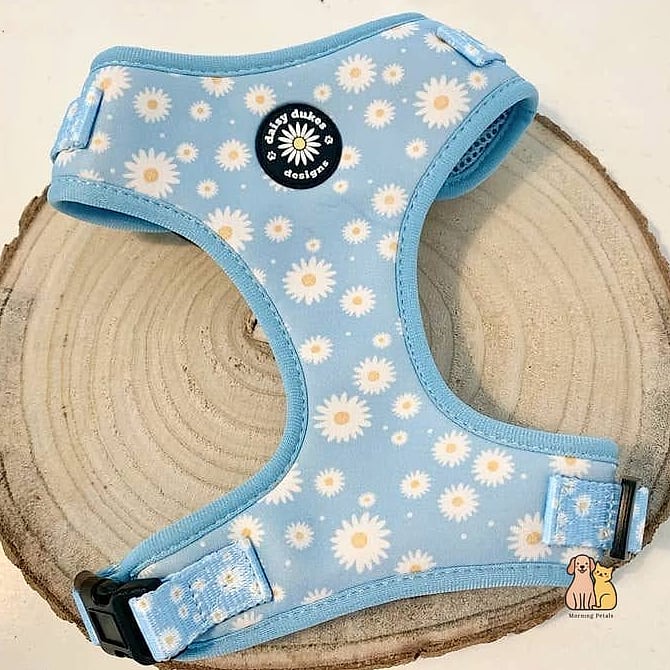 The Daisy Chain Step-In Harness