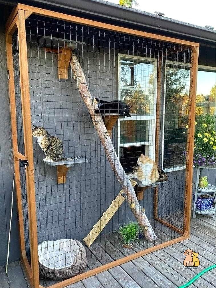 The Deck-Attached Catio