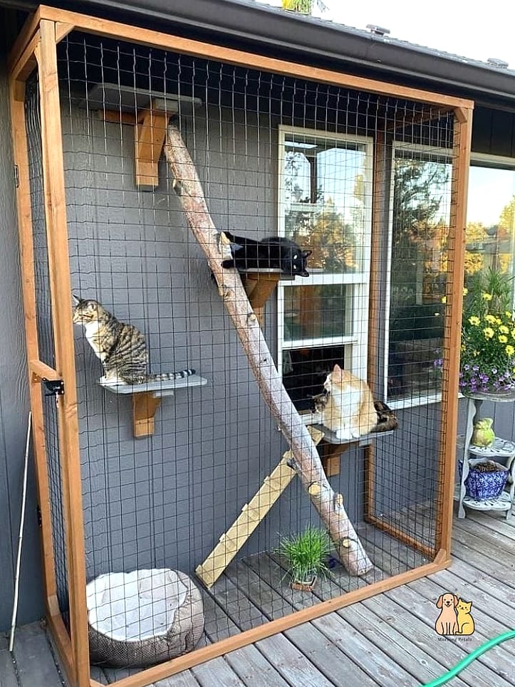 The Deck-Mounted Catio
