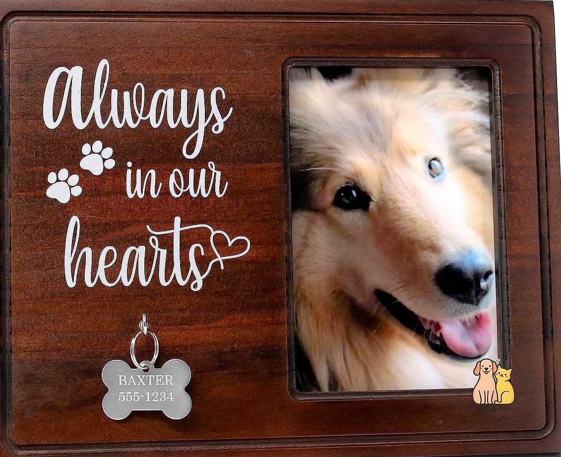 23 Perfect Dog Memorial Ideas Your Pet Will Love 7 A Dedicated Photo Album or Digital Slideshow