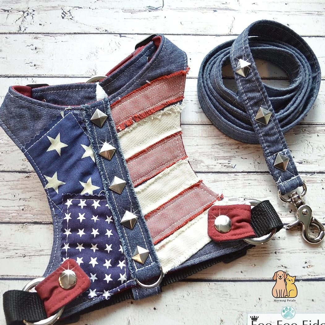 The Denim-Style Leash for a Casual Everyday Vibe