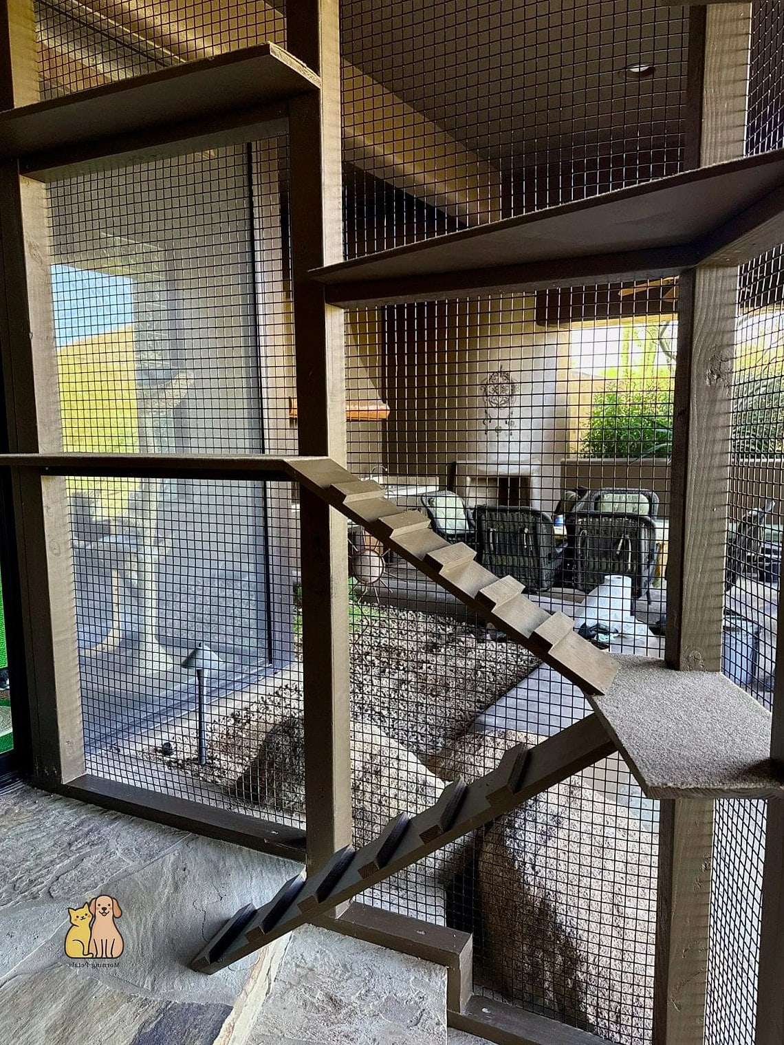 The Desert Oasis Catio