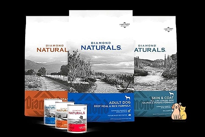 21 Perfect Best Dog Food Brands Your Pet Will Beg For More 19 Diamond Naturals Dog Food