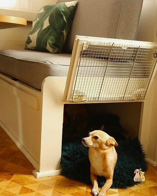 The Dining Bench Dog Bed