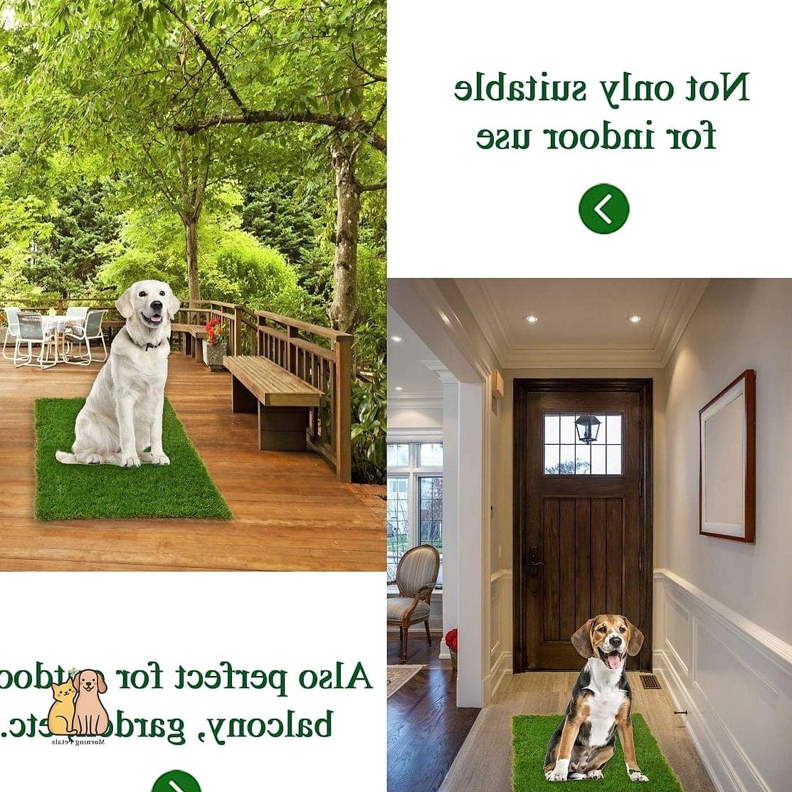 30 Perfect Outdoor Dog Potty Area on a Budget 13 Dirt Patch with Digging Zone Combo