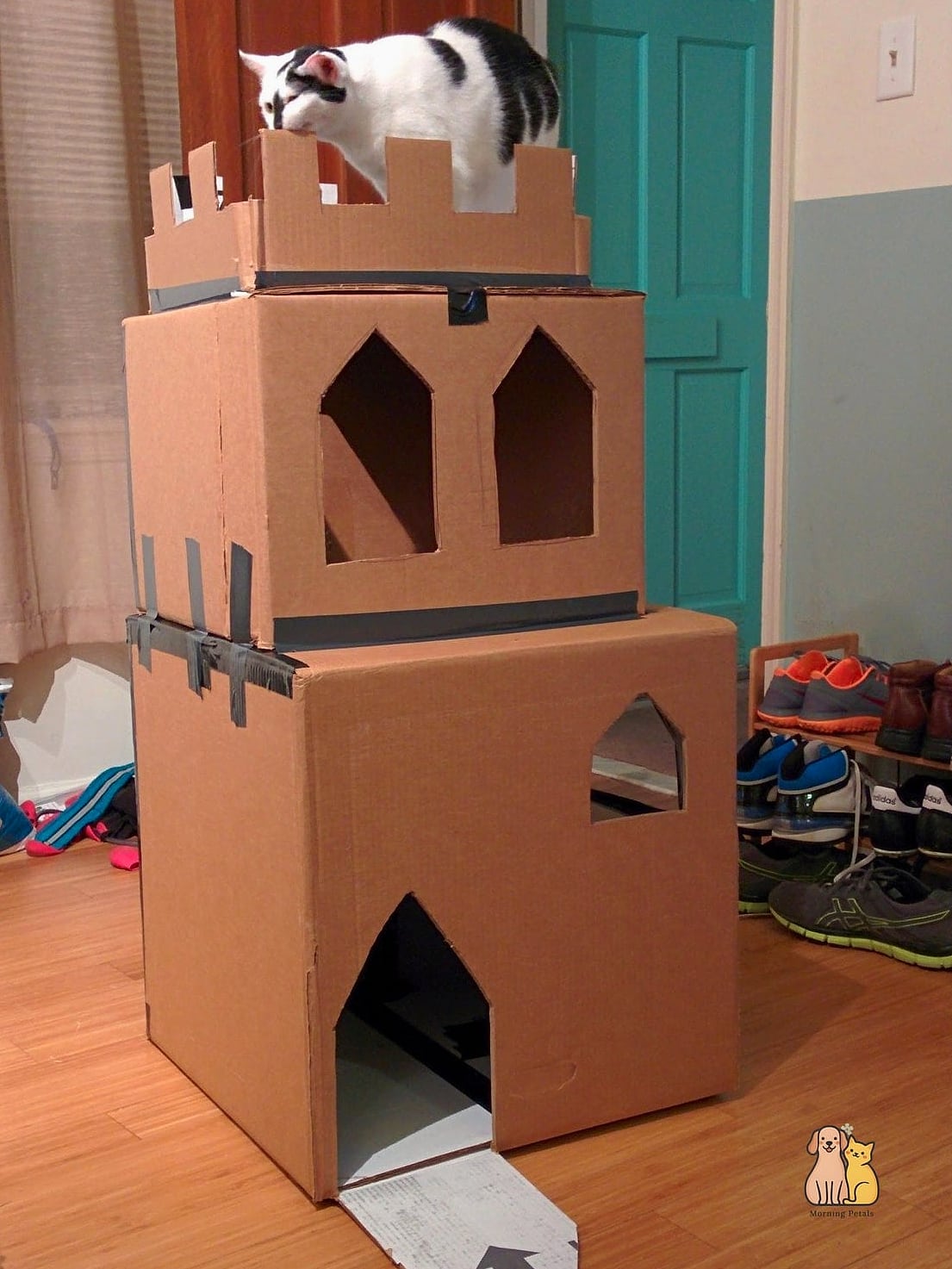 DIY Cardboard Box Cat Door
