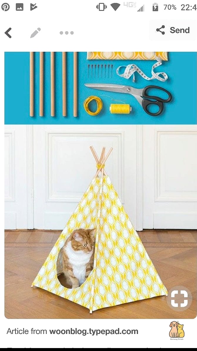DIY Cat Tent