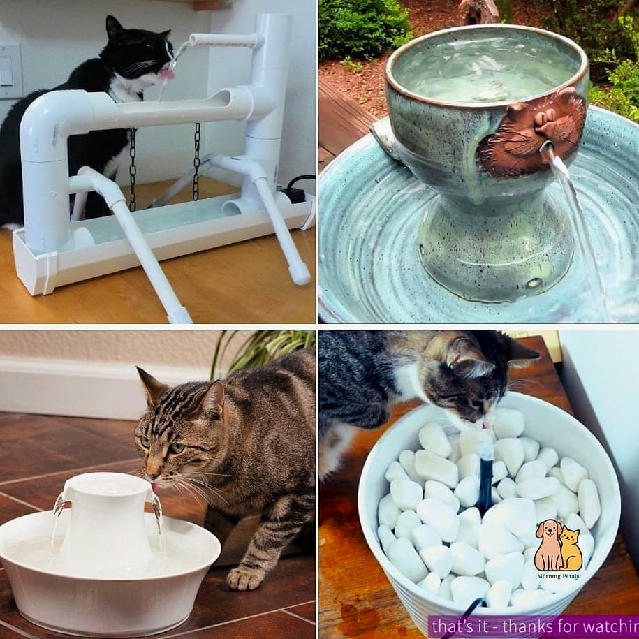 DIY Cat Water Fountain