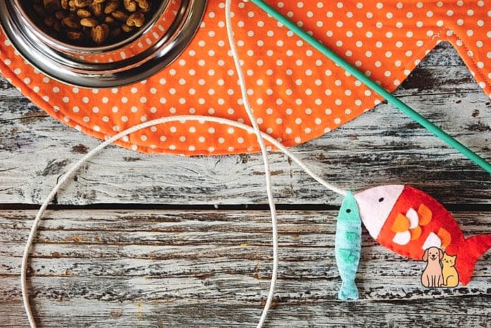 45 Easy Diy Cat Toys to Try Right Now 15 DIY Cat Fishing Pole