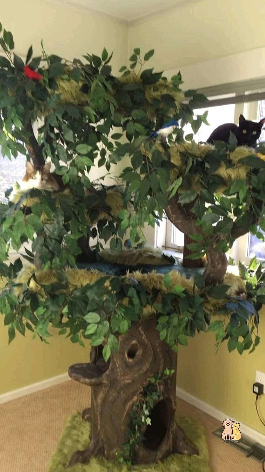 A DIY Cat Tree From Real Branches