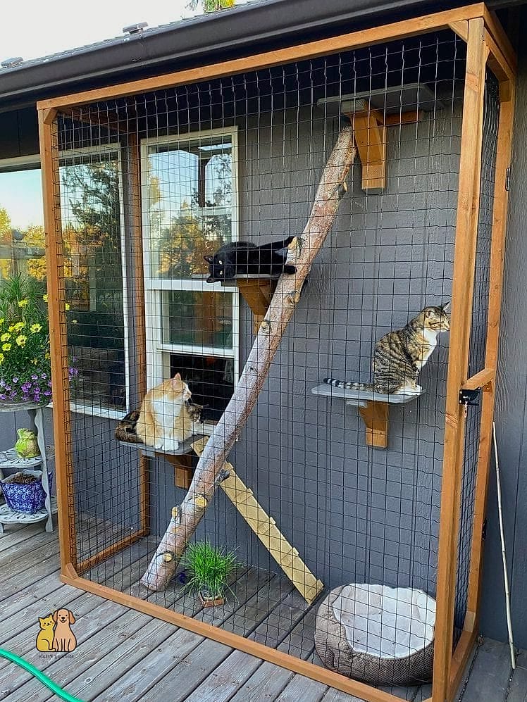 A DIY Catio Enclosure Off the Back Door