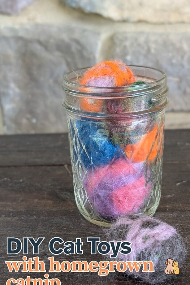 DIY Catnip Pillow