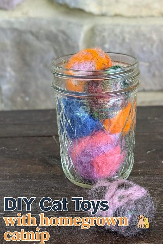 45 Easy Diy Cat Toys to Try Right Now 35 DIY Catnip Bubble Wrap Roll