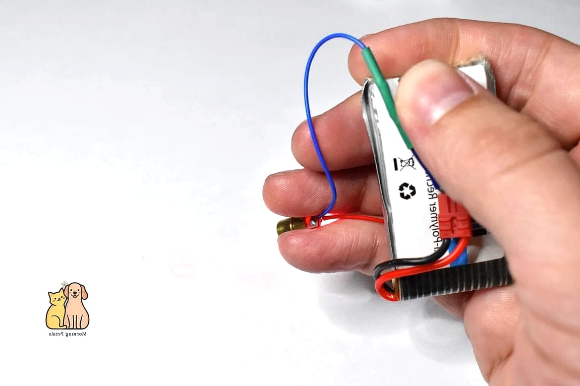 45 Easy Diy Cat Toys to Try Right Now 24 DIY Laser Pointer Alternative: Flashlight Games