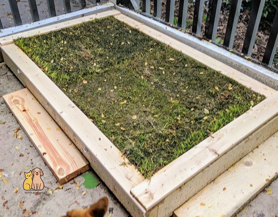 30 Perfect Outdoor Dog Potty Area on a Budget 30 DIY Pallet and Turf Potty Deck