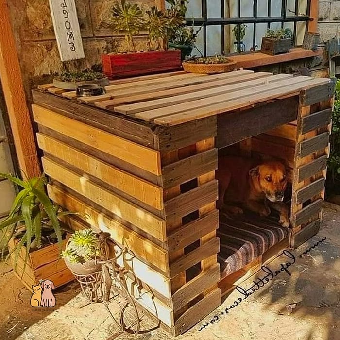 25 Amazing Dog Room In Garage That Are Too Cute to Handle 8 The DIY Pallet Wood Dog Den