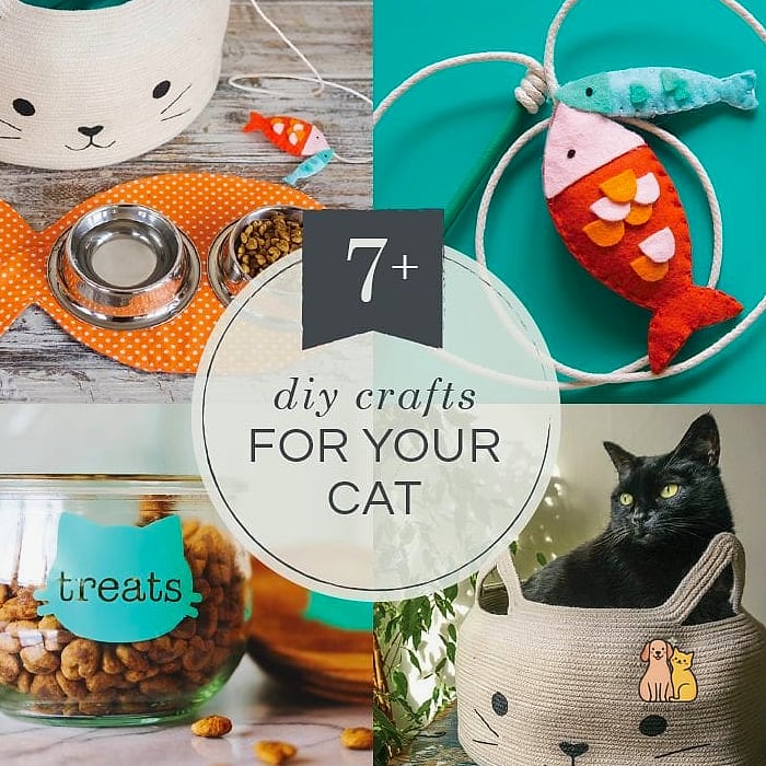 DIY Pet Camera Shelf Nook