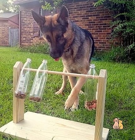 25 Simple Dog Yard Ideas to Try Right Now 21 A DIY Puzzle Feeder Station