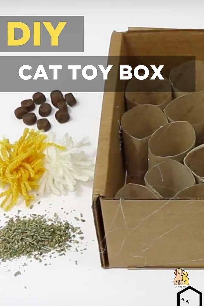 45 Easy Diy Cat Toys to Try Right Now 29 DIY Puzzle Box with Holes