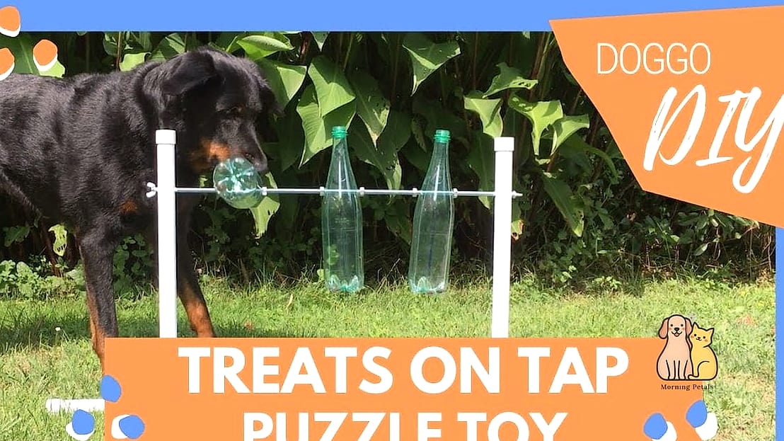 The DIY PVC Puzzle Feeder