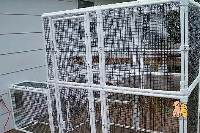 The DIY PVC Frame Catio