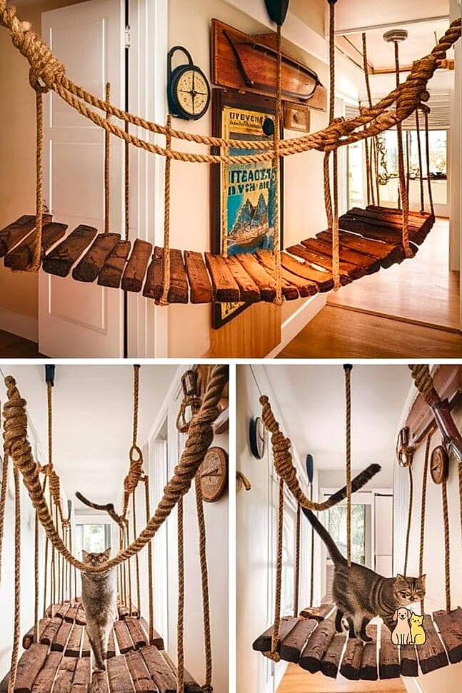 A DIY Rope Ladder Climb