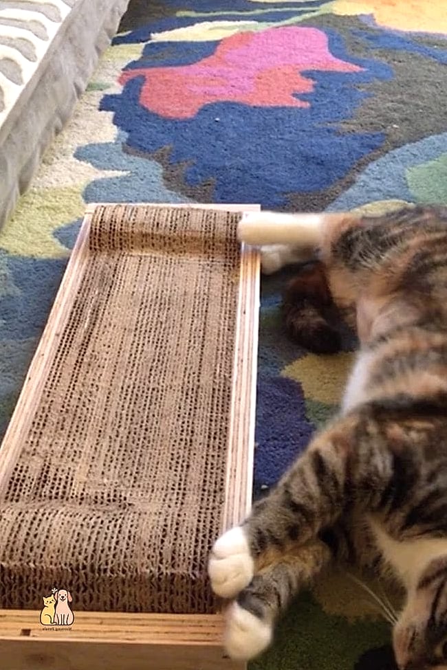 30 Creative Diy Cat Scratchers That Will Inspire You 20 DIY Scratching Post with Dangling Feather