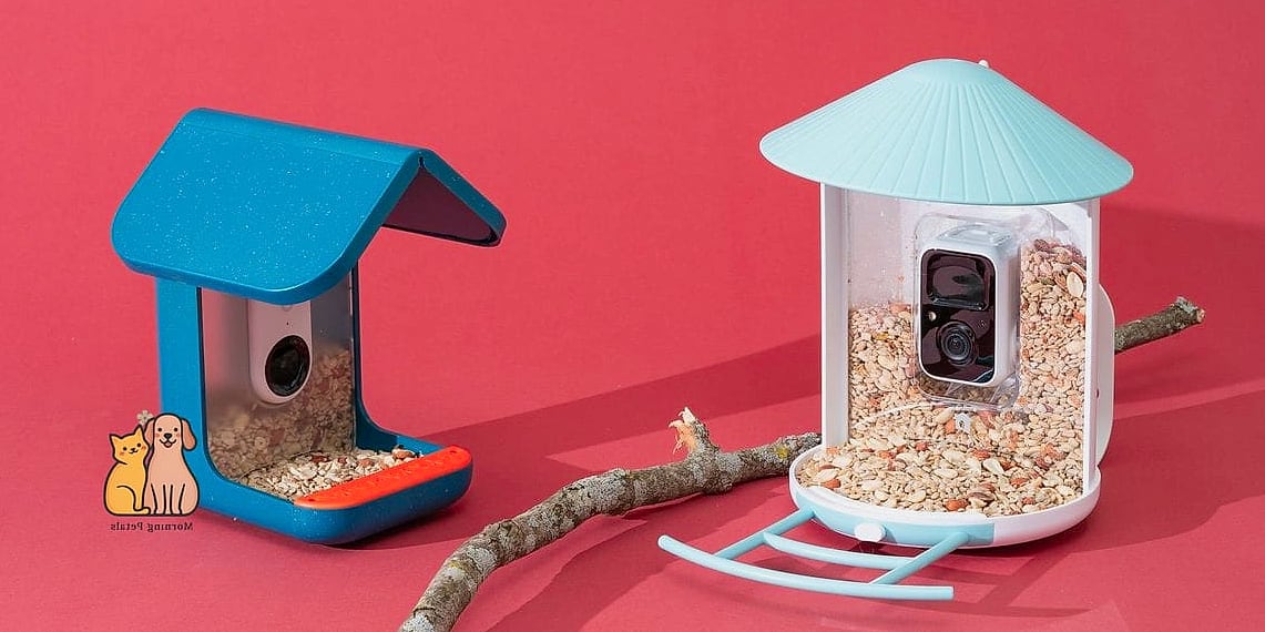 The DIY Smart Feeder Upgrade