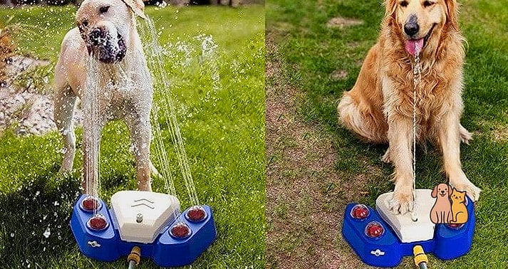 DIY Sprinkler Fun