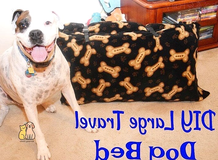 The DIY Travel Dog Bed